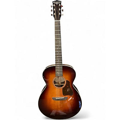Used Washburn RSG200SWVSK-D Autumn Burst Acoustic Guitar