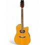 Used Washburn STEPHEN'S EXTENDED CUTAWAY Natural Acoustic Electric Guitar Natural