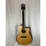 Used Washburn Used  Washburn WCG20SCE Natural Natural