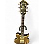 Used Washburn WI66PROG Gold Top Solid Body Electric Guitar Gold Top