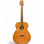 Used Washburn WLG16S Natural Acoustic Guitar Natural