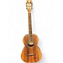 Used Washburn WP55NS Natural Acoustic Guitar Natural