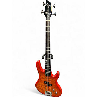 Washburn Basses | Musician's Friend