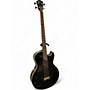 Used Washburn ab20 Ebony Acoustic Bass Guitar Ebony