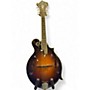 Used Webber MANDOLIN YELLOWSTONE F14 2 Tone Sunburst Mandolin 2 Tone Sunburst
