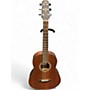 Used Wechter Guitars TV-1720E Mahogany Acoustic Electric Guitar Mahogany