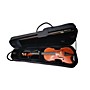 Used Used Wolfgang Amberg K500v Acoustic Viola
