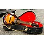 Used Used ZIM-GAR A STYLE MANDOLIN Sunburst Mandolin Sunburst