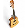 Used Zager DENNY ZAGER SIGNATURE Natural Acoustic Guitar Natural