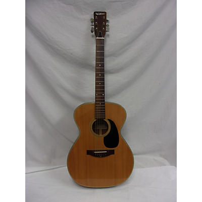 Ventura V10 Acoustic Guitar