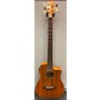 Used Fender VB5 Acoustic Bass Guitar Natural