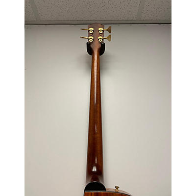 Fender VICTOR BAILEY SIGNATURE 4 STRING ACOUSTIC BASS Acoustic Bass Guitar