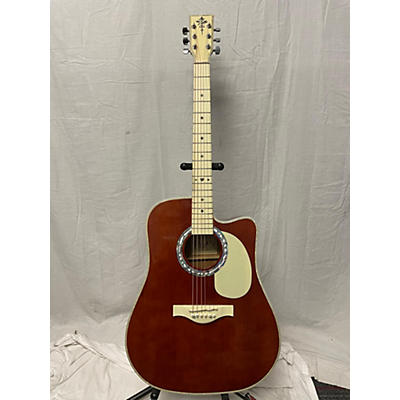 Esteban VL-100 Acoustic Electric Guitar