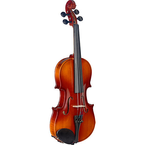 Stagg VN-L Series Student Violin Outfit 1/2