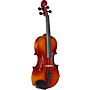 Stagg VN-L Series Student Violin Outfit 1/2