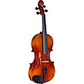 Stagg VN-L Series Student Violin Outfit 1/24/4