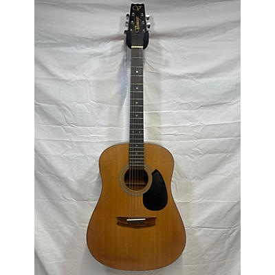 Vantage VS5 Acoustic Guitar