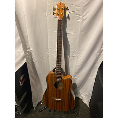 Fender Victor Bailey Acoustic Bass Acoustic Bass Guitar