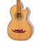 Victoria-P 12 String Acoustic-Electric Bajo Sexto Level 2 Natural 190839000422