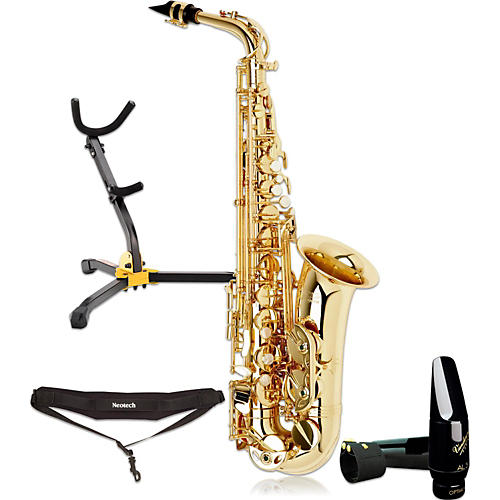 Vienna Series Intermediate Alto Kit