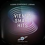 Vienna Instruments Vienna Smart Hits (Download)