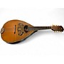 Vintage 1870s Wurlitzer Flat Back Mandolin Natural Mandolin Natural