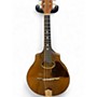 Vintage 1900s Vega cylinder back Natural Mandolin Natural
