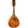 Vintage 1907 Martin AK Mandolin KOA Mandolin KOA
