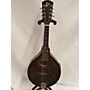 Vintage Gibson Vintage 1919 Gibson A-2 Brown Mandolin Brown