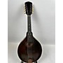 Vintage Gibson Vintage 1920 Gibson A-2 MANDOLIN Natural Mandolin Natural