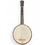 Vintage 1920 Sterling WAVERLY BANJO Natural Banjo Natural