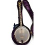 Vintage 1920s Bacon & Day Banjo Natural Banjo Natural