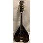 Vintage Vintage 1920s Dayton Heart Heart Natural Mandolin Natural