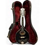 Vintage 1920s Gibson The Gibson A-2 Black Mandolin Black