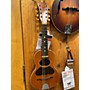 Vintage Hardwood Vintage 1920s Hardwood Mandolineto Cedar Mandolin cedar