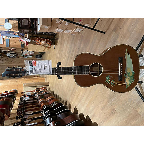 Stromberg voisinet store parlor guitar