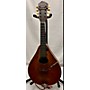 Vintage Martin Vintage 1922 Martin Style 15 Mandolin Natural Mandolin Natural