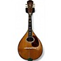 Vintage 1923 Martin Style E Mandolin Natural Mandolin Natural