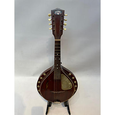 Beltone Vintage 1930s Beltone Resonator Mandolin Dark Natural Mandolin