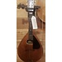 Vintage Vintage 1930s Bruno The Vernon Brown Mandolin Brown