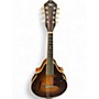 Vintage 1936 Martin 2-20 MANDOLIN SHADED Mandolin SHADED