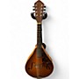 Vintage 1952 Martin 2-15 Natural Mandolin Natural