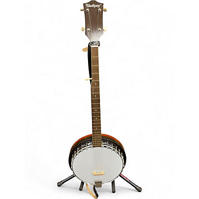 Vintage 1960s Harmony Folk Banjo Natural Banjo