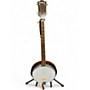 Vintage 1960s Harmony Folk Banjo Natural Banjo Natural