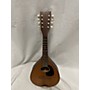 Vintage Martin Vintage 1963 Martin Style A Natural Mandolin Natural