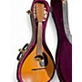 Vintage 1970 Martin Style A Natural Mandolin Natural