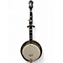 Vintage 1970s Alvarez Whyte Eagle Antique Burst Banjo Antique Burst