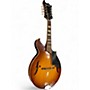 Vintage 1970s Harmony H8025 Natural Mandolin Natural