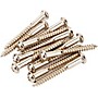 Fender Vintage-Style Stratocaster Bridge Mounting Screws Nickel