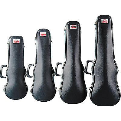 SKB Violin Case